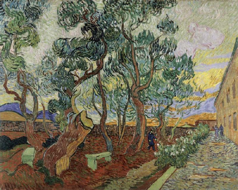 The Garden of the Asylum in St.Remy, Vincent Van Gogh